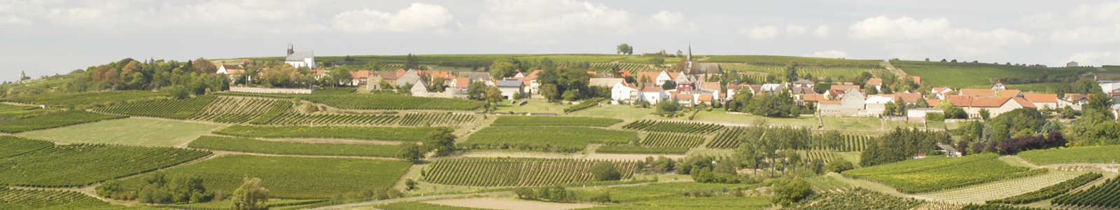 Landschaftsbild mit Dorf im Hintergrund ©Feuerbach